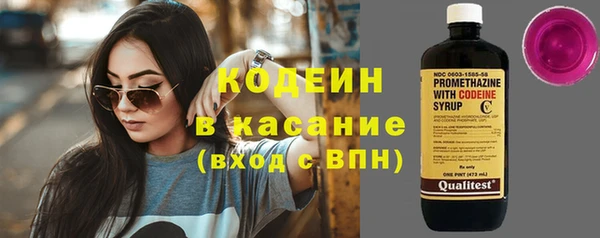 гашик Алексин