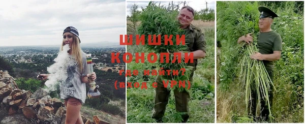 гидра Алексеевка