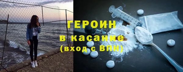 гашик Алексин