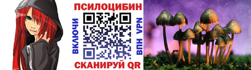 МЕГА маркетплейс  Пенза  Псилоцибиновые грибы GOLDEN TEACHER 